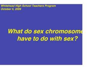 What do sex chromosomes have to do with sex?