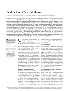 Evaluation of Scrotal Masses - American Academy of Family