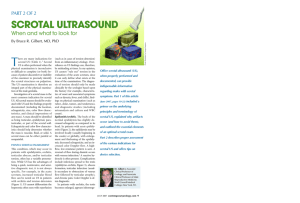 Office Scrotal Ultrasound Part 2 - Bruce R. Gilbert, M.D.,Ph.D.,PC