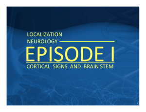 LOCALIZATION NEUROLOGY CORTICAL SIGNS AND BRAIN STEM