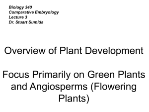 Overview of Plant Development Focus Primarily on Green Plants