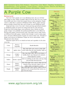A Purple Cow - Oklahoma State 4-H