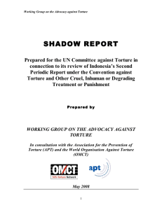 joint report on torture and ill-treatment in Indonesia