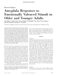 Amygdala Responses to Emotionally Valenced Stimuli in Older and