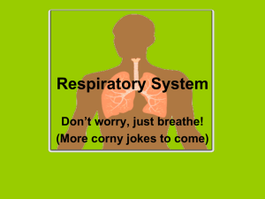 Respiratory System - Madison County Schools