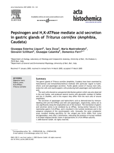 Pepsinogen and H,K-ATPase mediate acid secretion in gastric