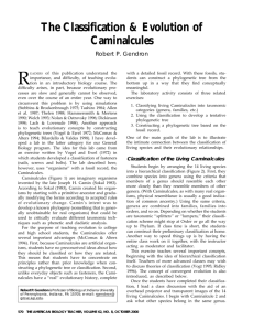 The Classification & Evolution of Caminalcules