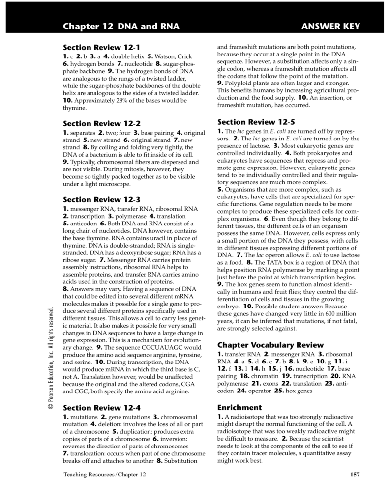 dna-and-rna-worksheet-answers