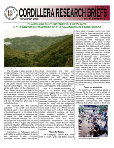 Rebrief 4th Quarter 2003 - Cordillera Studies Center