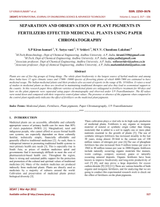 separation and observation of plant pigments