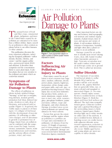 Air Pollution Damage to Plants - Alabama Cooperative Extension