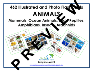 OCEAN ANIMALS ILLUSTRATED FLASHCARDS Page 22