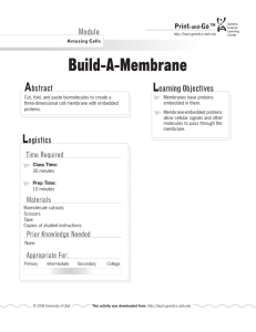 Build-A-Membrane - Teach Genetics Website