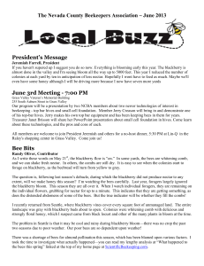 June 2013 The Local Buzz - Nevada County Beekeepers Association
