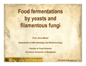 Food fermentations by yeasts and filamentous fungi