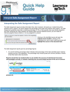 Interpret Safe Assignment Report