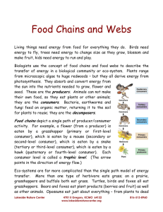 Food Chains and Webs - Lakeside Nature Center