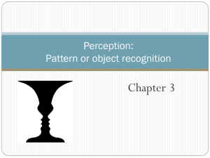 Pattern and object recognition