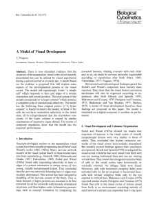 Nagano, T. (1977). A model of visual development. Biological