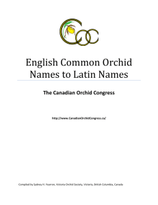 English Common Orchid Names to Latin Names
