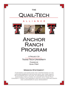 Anchor Ranches - The Quail
