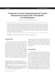 Treatment of a Rare Congenital External Carotid Arteriovenous