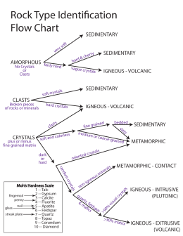 4th Grade Rocks & Minerals Study Guide fossils diagram quiz 