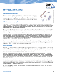 Protozoan Parasites - Safe Drinking Water Foundation