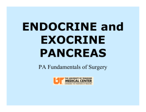ENDOCRINE And EXOCRINE PANCREAS