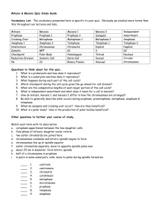 Mitosis & Meiosis Quiz Study Guide Vocabulary List: The vocabulary