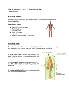 The Anatomical Position, Planes and Axis