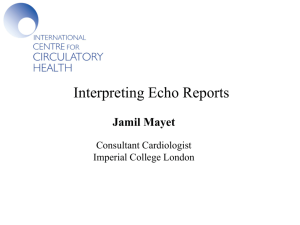 Interpreting Echo Reports - London Cardiovascular Clinic