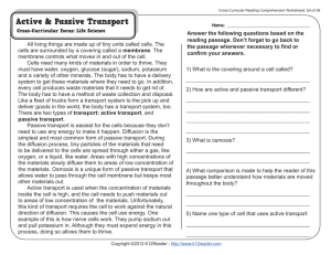 Reading Comprehension – Active and Passive Transport