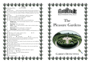 The Pleasure Gardens