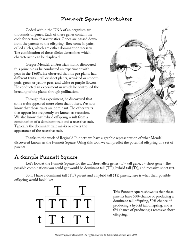 11.1 The Work Of Gregor Mendel Answer Key Pdf + My PDF Collection 2021