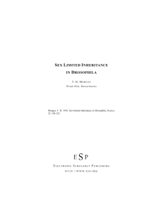 sex limited inheritance in drosophila
