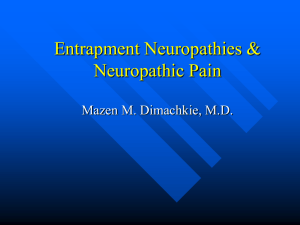 Nerve Entrapments and Neuropathic Pain
