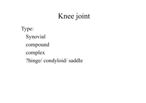 LL-knee joint
