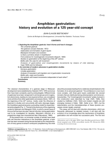Amphibian gastrulation: history and evolution of a 125 year