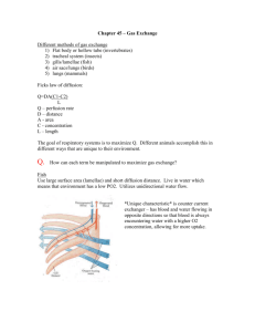 Chapter 45 - Respiratory System