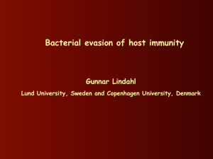 Bacterial evasion of host immunity