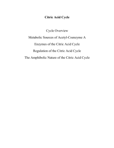 Citric Acid Cycle Cycle Overview Metabolic Sources of Acetyl