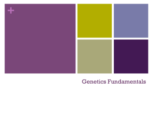 Genetics Fundamentals PPT
