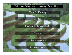 Intensive Subsistence Farming – Case Study