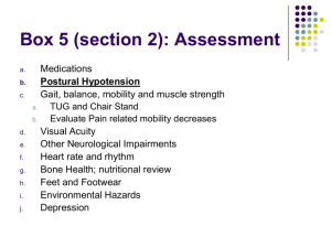 Box 5 (section 2): Assessment