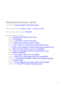Photosynthesis Study Guide Answers