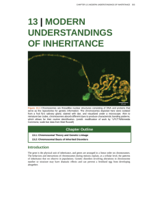 Chapter 13. Modern Understandings of Inheritance
