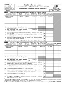 2002 Form 1040 (Schedule D)