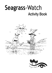 Seagrass-Watch Activity Book