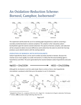 Stereoselective reduction of camphor lab report